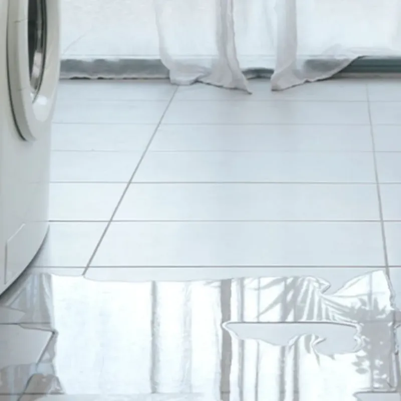 Appliance Leak Cleanup in Wichita County, KS