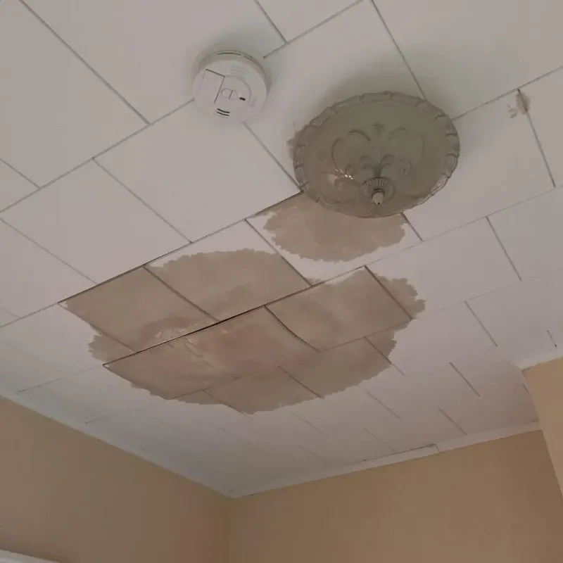Ceiling Water Damage Repair in Wichita County, KS