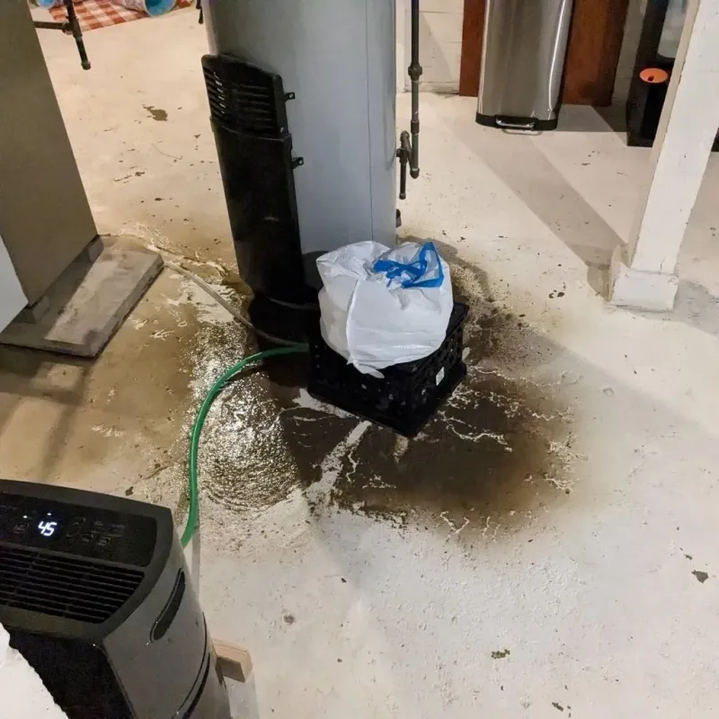 Sewage Backup Cleanup Service in Wichita County, KS